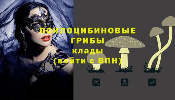 дурь Наволоки