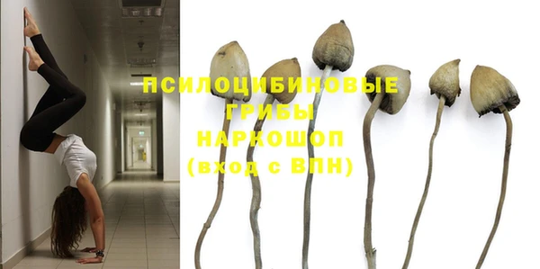 мет Надым