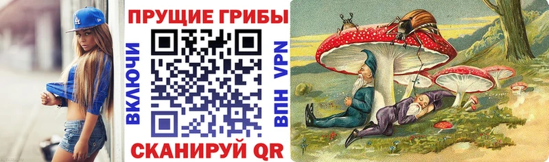 даркнет сайт  Чишмы  Галлюциногенные грибы Magic Shrooms 